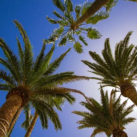 Paradise Club * プエルト・デル・カルメン