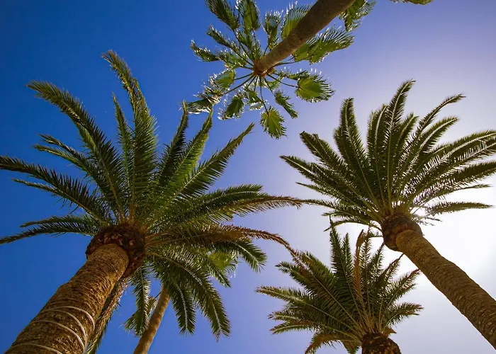 Paradise Club * بويرتو ذيل كارمين